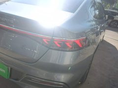 BYD Qin Plus DM-i 55KM Flagship - photo 7