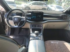 BYD Qin Plus DM-i 55KM Flagship - photo 9