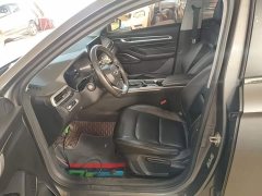 Geely Emgrand 4th Generation Champion Edition 1.5L CVT Luxury - photo 14