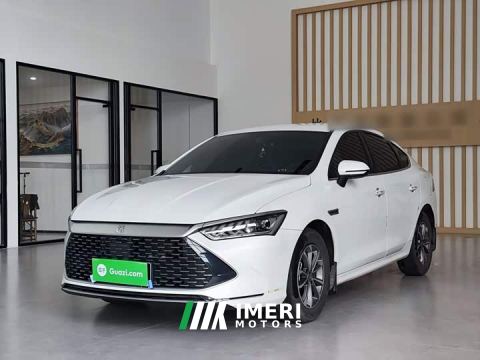 2025 BYD Qin PLUS Glory Edition DM-i 55KM Leading