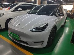 Tesla Model Y Long Range All-Wheel Drive - ფოტო 1