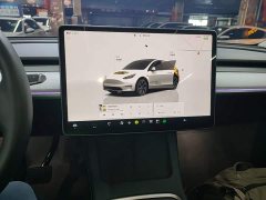 Tesla Model Y Long Range All-Wheel Drive - ფოტო 12