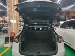 Tesla Model Y Long Range All-Wheel Drive - ფოტო 18