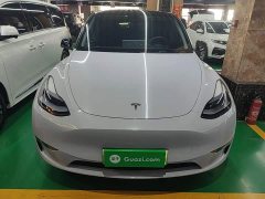 Tesla Model Y Long Range All-Wheel Drive - ფოტო 2