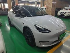Tesla Model Y Long Range All-Wheel Drive - ფოტო 3