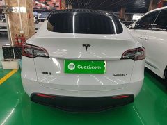 Tesla Model Y Long Range All-Wheel Drive - ფოტო 5