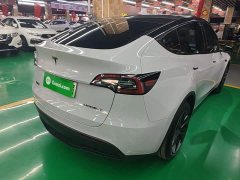 Tesla Model Y Long Range All-Wheel Drive - ფოტო 6
