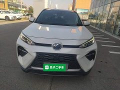 Toyota Wildland Hybrid 2.5L E-CVT FWD Luxury Plus - photo 2