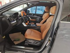 BYD Yuan Plus DM-i Champion Edition 112KM Honor Trim - photo 14