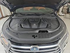 BYD Yuan Plus DM-i Champion Edition 112KM Honor Trim - photo 19
