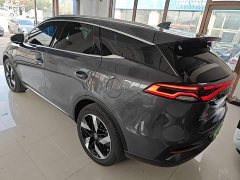 BYD Yuan Plus DM-i Champion Edition 112KM Honor Trim - photo 4