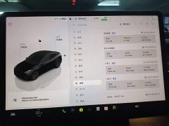 Tesla Model Y Rear-Wheel Drive - photo 11