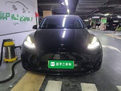 Tesla Model Y Rear-Wheel Drive - photo 2
