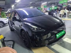 Tesla Model Y Rear-Wheel Drive - photo 3