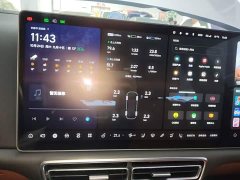 Li Auto L9 Max - ფოტო 11