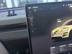 Tesla Model Y Rear-Wheel Drive - ფოტო 13