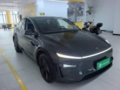 Tesla Model Y Rear-Wheel Drive - ფოტო 3