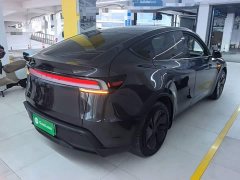 Tesla Model Y Rear-Wheel Drive - ფოტო 6