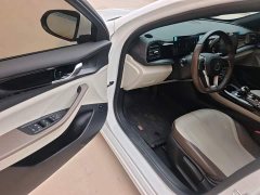 BYD Qin PLUS Glory Edition DM-i 55KM Leading - ფოტო 15