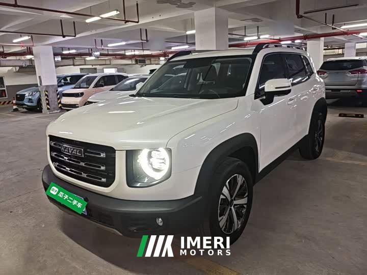 Great Wall Dachshund 1.5T DCT Two-Wheel Drive Labrador Edition - car from China