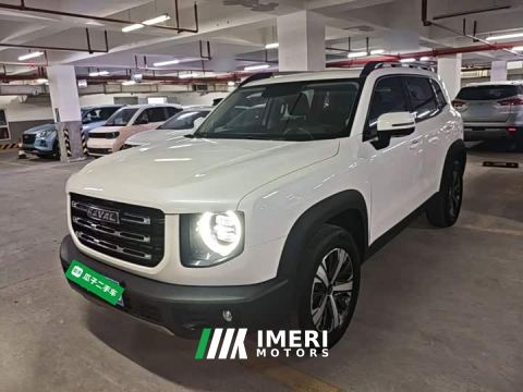 2022 Great Wall Dachshund 1.5T DCT Two-Wheel Drive Labrador Edition