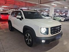 Great Wall Dachshund 1.5T DCT Two-Wheel Drive Labrador Edition - photo 3
