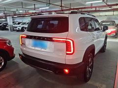 Great Wall Dachshund 1.5T DCT Two-Wheel Drive Labrador Edition - photo 6