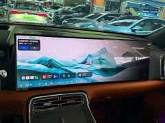 Geely Galaxy M9 230km Two-Wheel Drive Explorer Edition - ფოტო 11