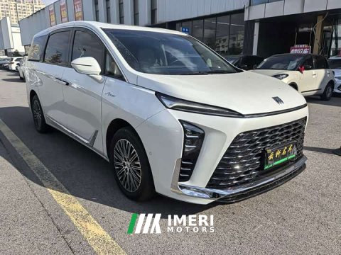 2024 Buick GL8 New Energy Luxe Premium 7-Seater - car from China