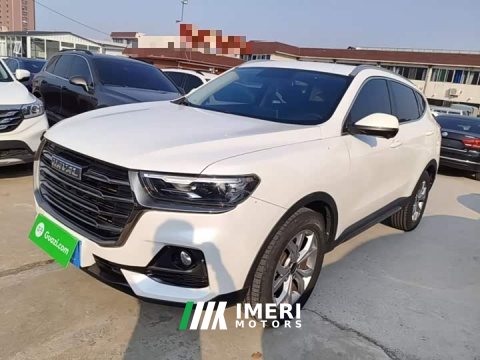 2021 Haval H6 National Trend 1.5T Automatic Champion Edition - ავტომობილი ჩინეთიდან