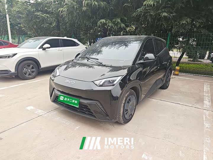 BYD Seagull 305km Vitality Edition - ავტომობილი ჩინეთიდან