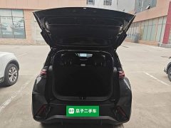BYD Seagull 305km Vitality Edition - ფოტო 18