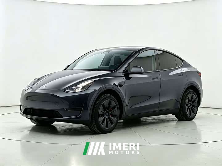 Tesla Model Y Rear-Wheel Drive