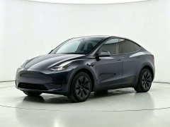 Tesla Model Y Rear-Wheel Drive - ფოტო 1