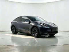Tesla Model Y Rear-Wheel Drive - ფოტო 3