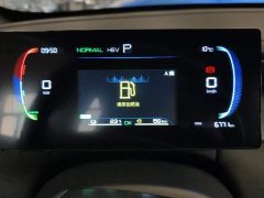 BYD Qin PLUS DM-i Smart Drive Edition 55KM Leading - photo 14