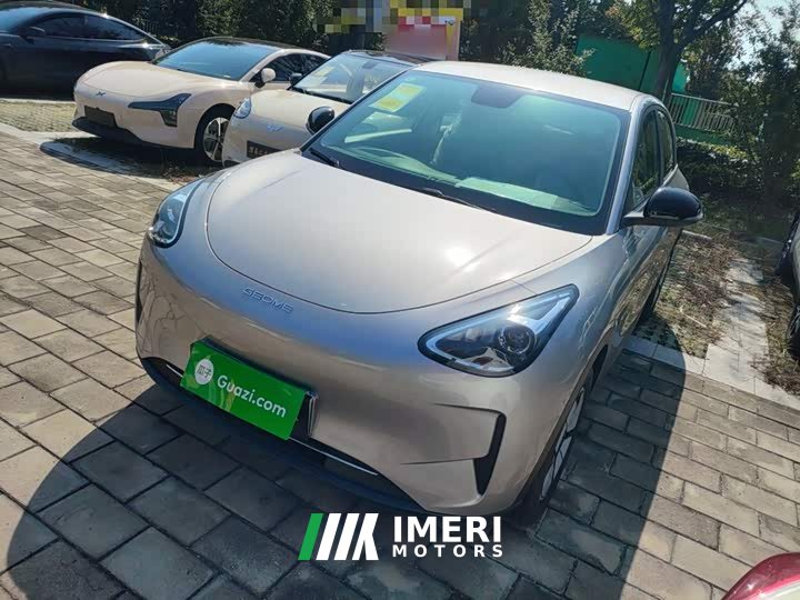 Geely Star Wish 310km Youth Edition - car from China
