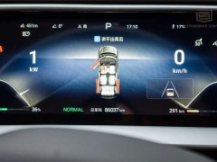 Denza D9 DM-i 980 Four-Wheel Drive Flagship - ფოტო 15