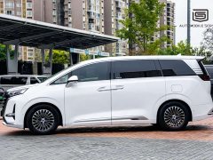 Denza D9 DM-i 980 Four-Wheel Drive Flagship - ფოტო 3