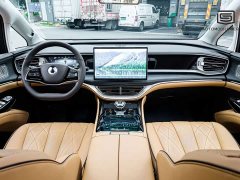 Denza D9 DM-i 980 Four-Wheel Drive Flagship - ფოტო 6