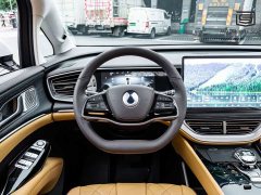 Denza D9 DM-i 980 Four-Wheel Drive Flagship - ფოტო 7