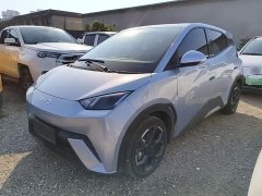 BYD Seagull 305km Freedom Edition - ფოტო 1