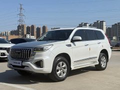 Haval H9 2.0T Petrol 4WD Elite 5-Seat - ფოტო 1