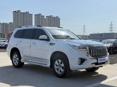 Haval H9 2.0T Petrol 4WD Elite 5-Seat - ფოტო 3