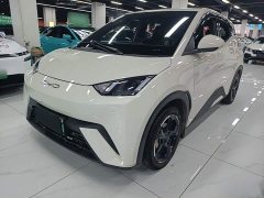 BYD Seagull Freedom Edition - ფოტო 1