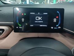 BYD Seagull Freedom Edition - ფოტო 11