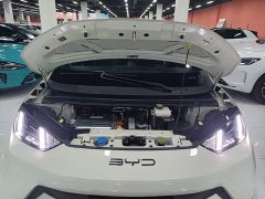 BYD Seagull Freedom Edition - ფოტო 19