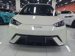 BYD Seagull Freedom Edition - ფოტო 2