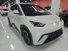 BYD Seagull Freedom Edition - ფოტო 3