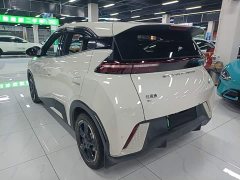 BYD Seagull Freedom Edition - ფოტო 4